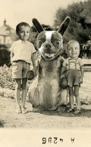 Bij Bunny and my Boys