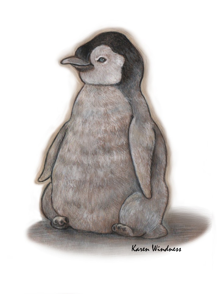 penguin-karenwindness